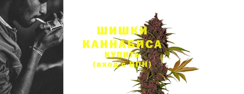 где купить наркотик  Лыткарино  Канабис THC 21% 